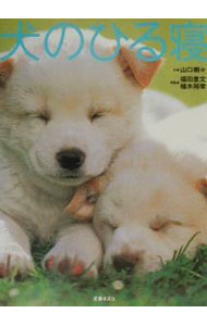 【中古】犬のひる寝 / 山口樹々 (単行本)