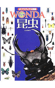 【中古】昆虫 / 寺山守 (単行本)
