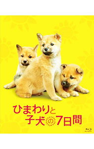 &nbsp;&nbsp;&nbsp; 【Blu−ray】ひまわりと子犬の7日間 の詳細 発売元: 松竹ホームビデオ カナ: ヒマワリトコイヌノナノカカンブルーレイディスク / ヒラマツエミコ ディスク枚数: 1枚 品番: SHBR163 リージョンコード: 発売日: 2013/08/07 映像特典: イベント映像集／犬の撮影スナップ集／特報 内容Disc-1ひまわりと子犬の7日間 関連商品リンク : 平松恵美子 松竹ホームビデオ