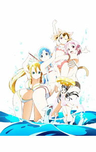 【中古】【Blu－ray】ソードアート・オンライン Extra Edition 完全生産限定版 小説・三方背クリアケース・ブックレット付 / 伊藤智彦【監督】