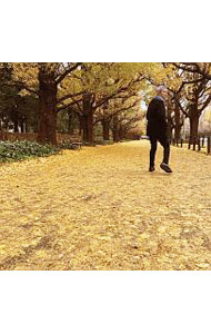 Other - 【中古】或る秋の日 / 佐野元春