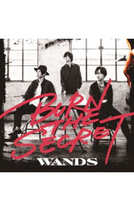 WANDS BURN THE SECRET パンフレット パンフ ジグザグ WANDS BURN THE