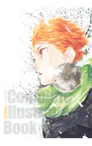 [중고] 하이큐!! Complete Illustration book 끝과 시작 / 古舘春一