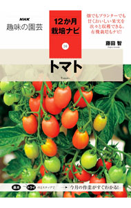 【中古】トマト / 藤田智