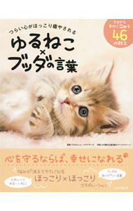 &nbsp;&nbsp;&nbsp; つらい心がほっこり癒やされるゆるねこ×ブッダの言葉 単行本 の詳細 出版社: インプレス レーベル: 作者: SumanasaraAlubomulle カナ: ツライココロガホッコリイヤサレルユルネコブッダノコトバ / アルボムッレスマナサーラ サイズ: 単行本 ISBN: 4295010937 発売日: 2021/02/01 関連商品リンク : SumanasaraAlubomulle インプレス