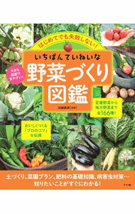 【中古】いちばんていねいな野菜づくり図鑑 / 加藤義貴