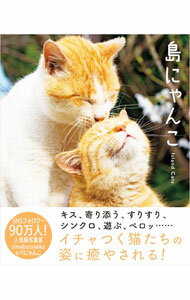 Pet - 【中古】島にゃんこ / simabossneko (新書)