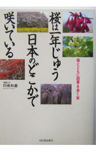 【中古】桜は一年じゅう日本のどこかで咲いている / 印南和磨 (単行本)