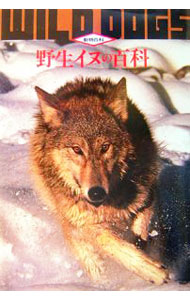 &nbsp;&nbsp;&nbsp; 野生イヌの百科 単行本 の詳細 出版社: データハウス レーベル: 動物百科 作者: 今泉忠明 カナ: ヤセイイヌノヒャッカ / イマイズミタダアキ サイズ: 単行本 ISBN: 9784887189157 発売日: 2007/05/01 関連商品リンク : 今泉忠明 データハウス 動物百科