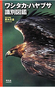 Zoology - 【中古】ワシタカ・ハヤブサ識別図鑑 / 真木広造