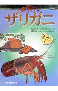 【中古】ザリガニ / 中山れいこ (単行本)