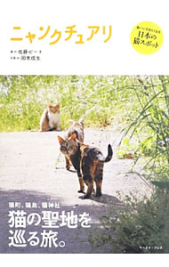 【中古】ニャンクチュアリ / 佐藤ピート