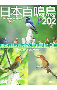 【中古】日本百鳴鳥　202　映像と鳴き声で愉しむ野鳥図鑑 / その他