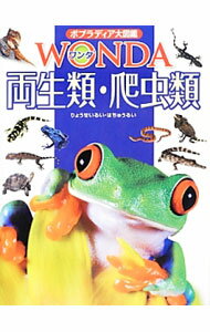 【中古】両生類・爬虫類 / 森哲