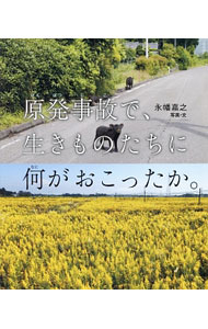 【中古】原発事故で、生きものたちに何がおこったか。 / 永幡嘉之 (単行本)