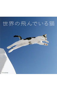 &nbsp;&nbsp;&nbsp; 世界の飛んでいる猫 単行本 の詳細 出版社: エクスナレッジ レーベル: 作者: エクスナレッジ カナ: セカイノトンデイルネコ / エクスナレッジ サイズ: 単行本 ISBN: 4767819815 発売日: 2015/04/01 関連商品リンク : エクスナレッジ エクスナレッジ