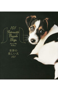 【中古】世界の美しい犬101 / McKennaRachael　Hale