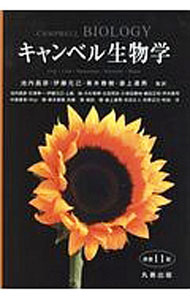 0012738520.jpg