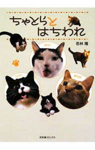 【中古】ちゃとらとはちわれ / 若林隆 (単行本)