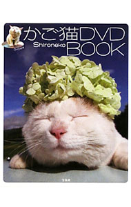 かご猫DVD　BOOK / Shironeko (単行本)