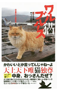 【中古】ワル猫ブルース / 日本悪にゃん愛好会