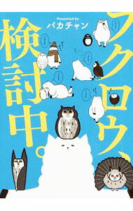 【中古】フクロウ、検討中。 / パカチャン