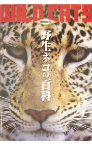 &nbsp;&nbsp;&nbsp; 野生ネコの百科 単行本 の詳細 出版社: データハウス レーベル: 動物百科 作者: 今泉忠明 カナ: ヤセイネコノヒャッカ / イマイズミタダアキ サイズ: 単行本 ISBN: 4887187726 発売日: 2004/07/01 関連商品リンク : 今泉忠明 データハウス 動物百科