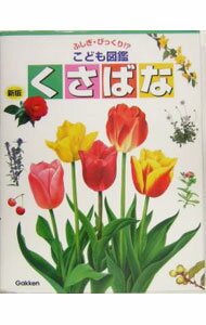 【中古】くさばな / (単行本)