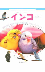 【中古】インコ　小動物ビギナーズガイド / すずき莉萌 (単行本)