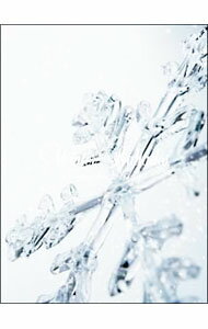 【中古】【CD＋DVD】Winter　Ballades / 玉置成実