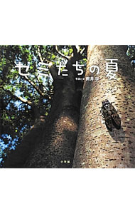 【中古】セミたちの夏 / 筒井学