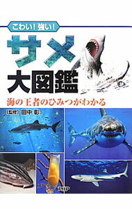 Zoology - 【中古】サメ大図鑑 / 田中彰（1952−）