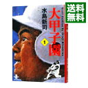 【中古】大甲子園 1/ 水島新司