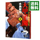 【中古】大甲子園 2/ 水島新司