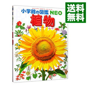 【中古】植物 / 岡田比呂実