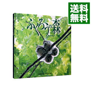 【中古】ふくろうの森 / 横田雅博