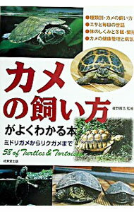 【中古】カメの飼い方がよくわかる本 / 霍野晋吉