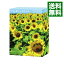 【中古】いま、会いにゆきます DVD−BOX 限定版/ 土井裕泰【監督】 1,363円