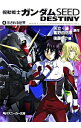 【中古】機動戦士ガンダムSEED DESTINY 4/ 後藤リウ