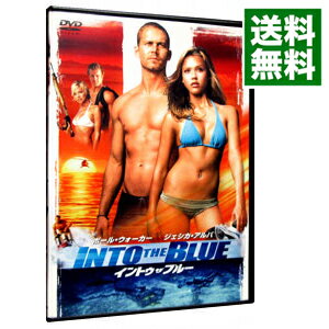 【中古】イントゥ・ザ・ブルー / ジョン・ストックウェル【監督】