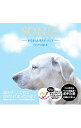 【中古】SONIA−白くなった黒ラブ・ソニア− / ジュリアン出版【編】(3)