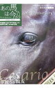 【中古】「あの馬は今?」ガイド−2006−2007− / 流星社