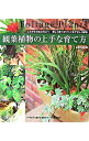 【中古】観葉植物の上手な育て方 / 主婦の友社