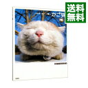【中古】かご猫 / Shironeko