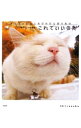 【中古】これでいいのだ / Shironeko