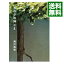 【中古】きのうの神さま / 西川美和 218円