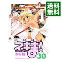 【中古】魔法先生ネギま! 30/ 赤松健
