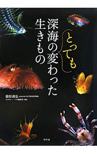 &nbsp;&nbsp;&nbsp; 深海のとっても変わった生きもの 単行本 の詳細 出版社: 幻冬舎 レーベル: 作者: 藤原義弘 カナ: シンカイノトッテモカワッタイキモノ / フジワラヨシヒロ サイズ: 単行本 ISBN: 97843...