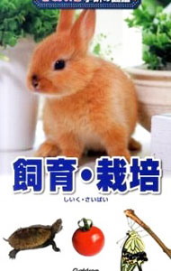 【中古】飼育・栽培 / 学研教育出版