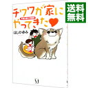【中古】チワワが家にやってきた−犬初心者の予想外− / ほしのゆみ